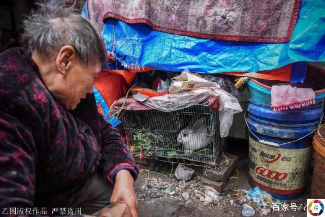 卖番茄的老人 b01711d9fe884f3591528f5e74b9c78b.jpeg