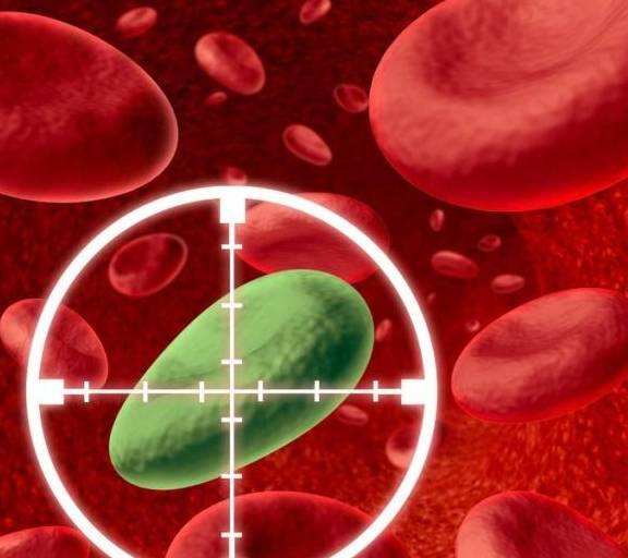 是什么原因引起的血液粘稠 2a5df0421ae2418a9559d4237f1e18f4.jpeg