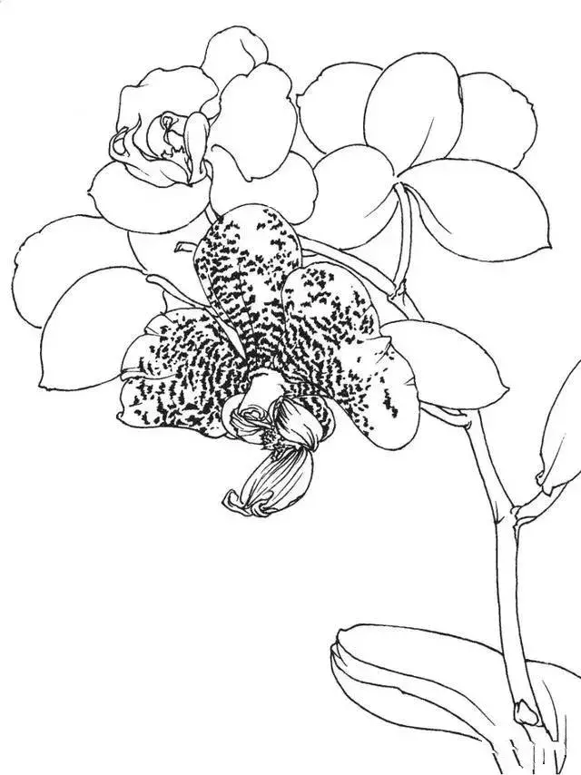90035d33e7ca4effa1965afcdf3f8f4c.png