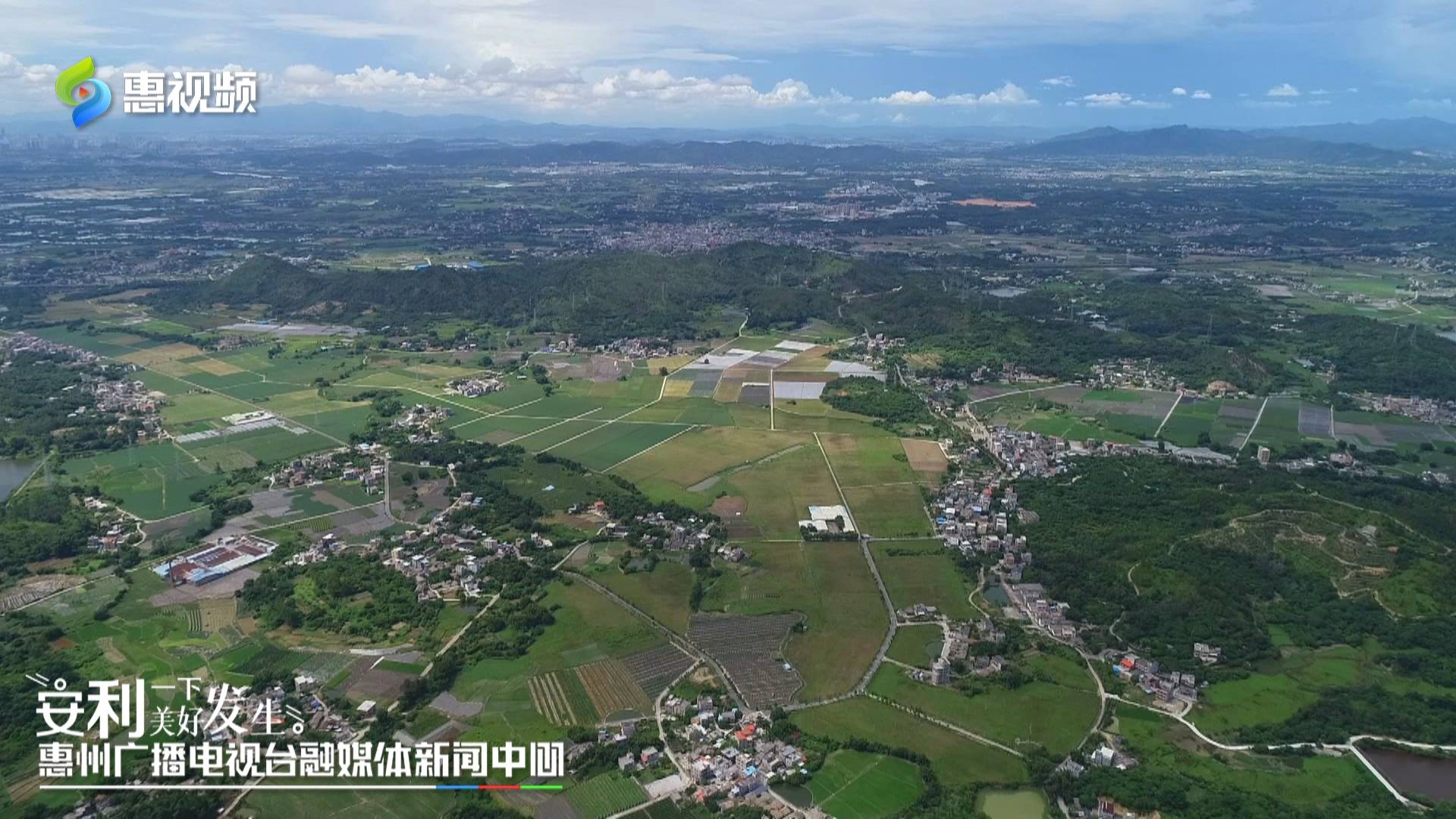 原创【沿着公路看惠州】惠阳良井:诗意田园 描绘农村新画卷