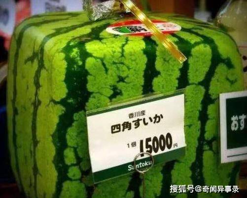 b52d2aa6a118494aaaecb68e8cf09cc9.jpeg
