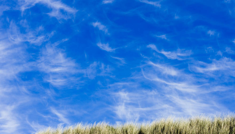 搬什么搬成语_成语故事图片