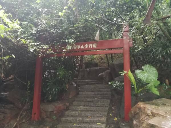 走进深圳农家乐乐水山庄——一个可以野炊烧烤团建活动的生态园