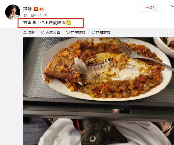 谢霆锋晒照呼应王菲头像，小猫还是王菲家的？