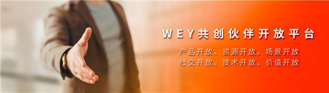 以互联网思维与用户共创wey的焕新之道