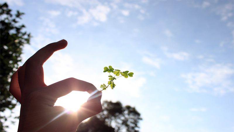 怎么做才是真正的对自己好 3ba14e55d5da4d09bf868b522a1e9ba1.jpeg