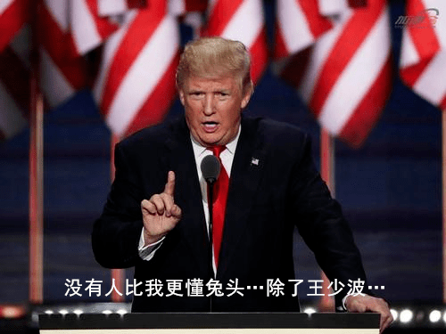 兔子的gdp_兔子卡通图片(2)