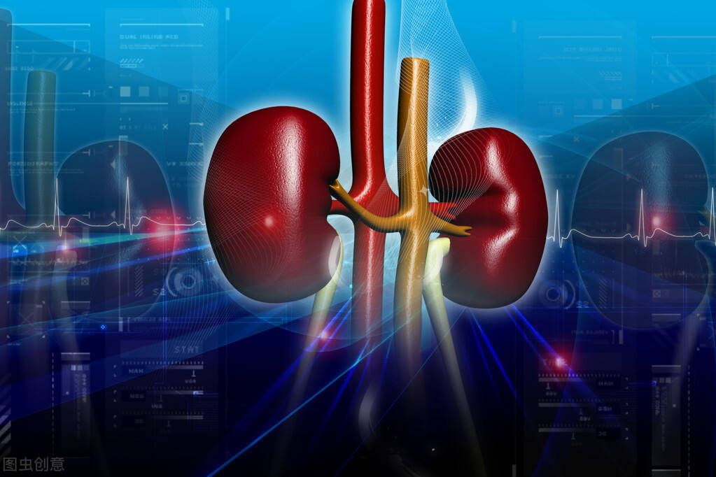 iga肾病是什么意思啊 9342586a5f73400ab812c8c512d40483.jpeg