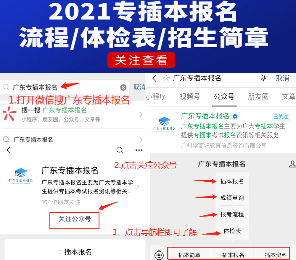 2021年湛江市人口数量_湛江市2005年文化节(3)