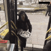 gif搞笑段子:帅哥,你这摩托车上坐了这么多美女,不挤吗