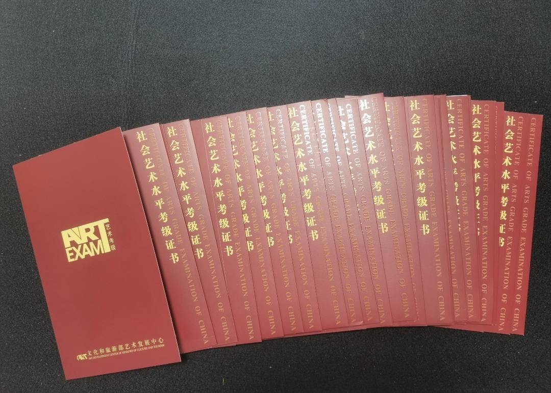 他们都获得了文化和旅游部艺术发展中心颁发的社会艺术水平考级证书.