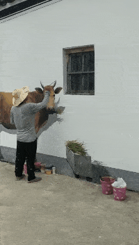 老司机啊!这甩尾甩的漂亮啊! 1.搞笑段子:都是坑爹货,爆笑之后想骂娘?