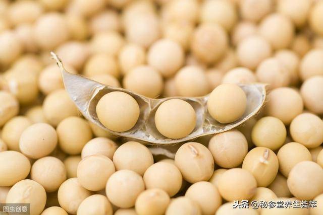 如何种植黄豆全过程 bb2c414982924d45a223effa203715a1.jpeg