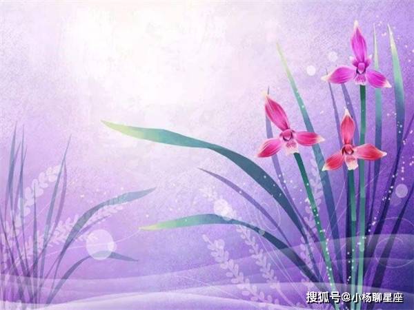 7b841cfb0a2040a48bfd73b136894493.jpeg