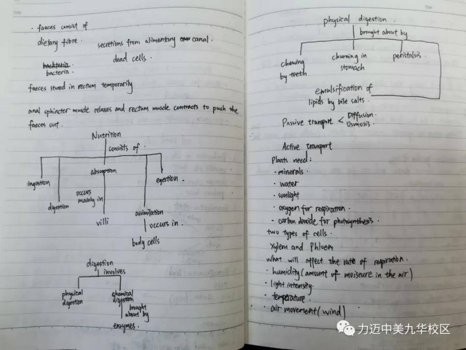 天谕乐师曲谱星辰大海代码_天谕乐师曲谱代码大全