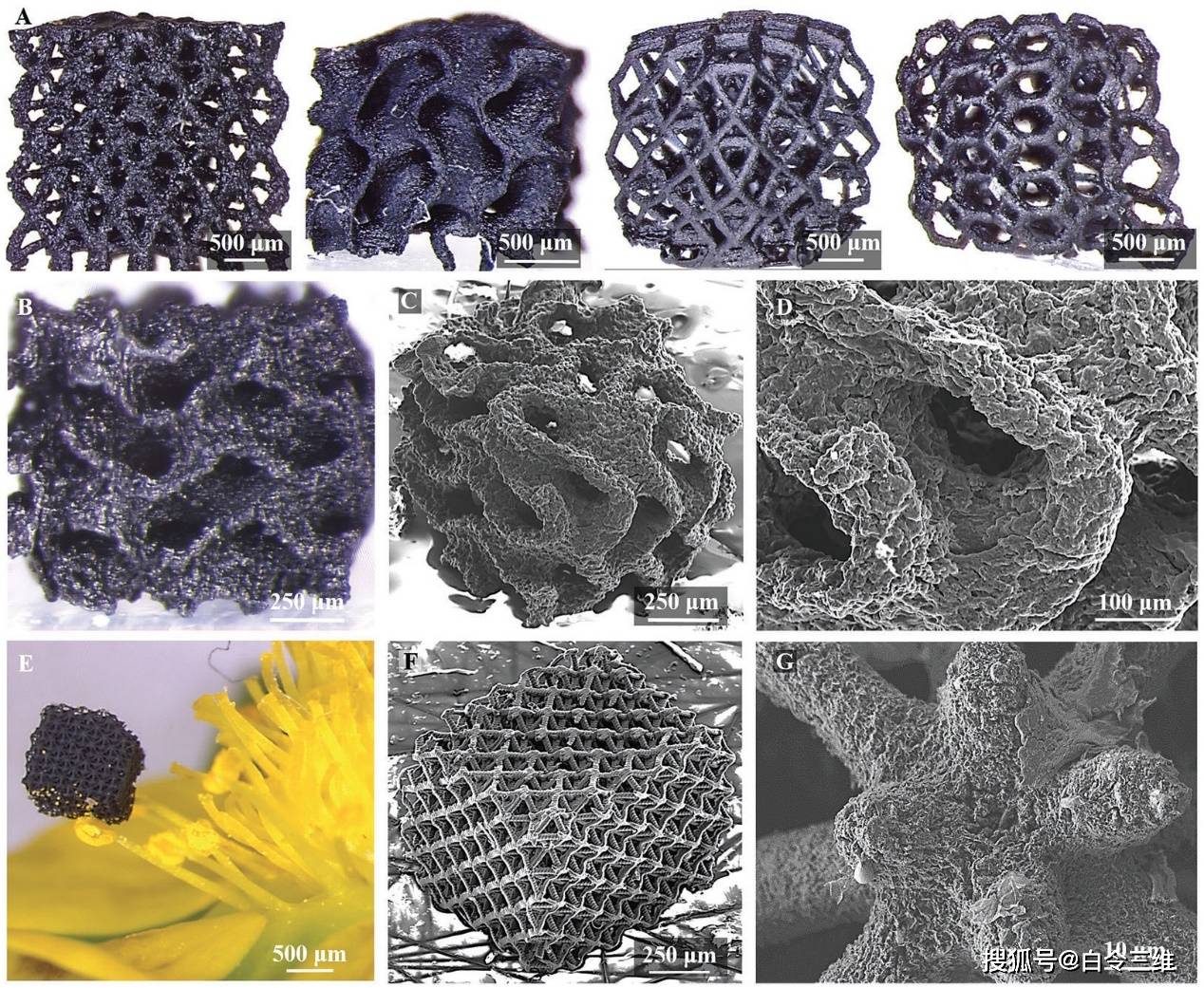 3D打印氧化石墨烯二氧化硅杂化结构的新方法 支架