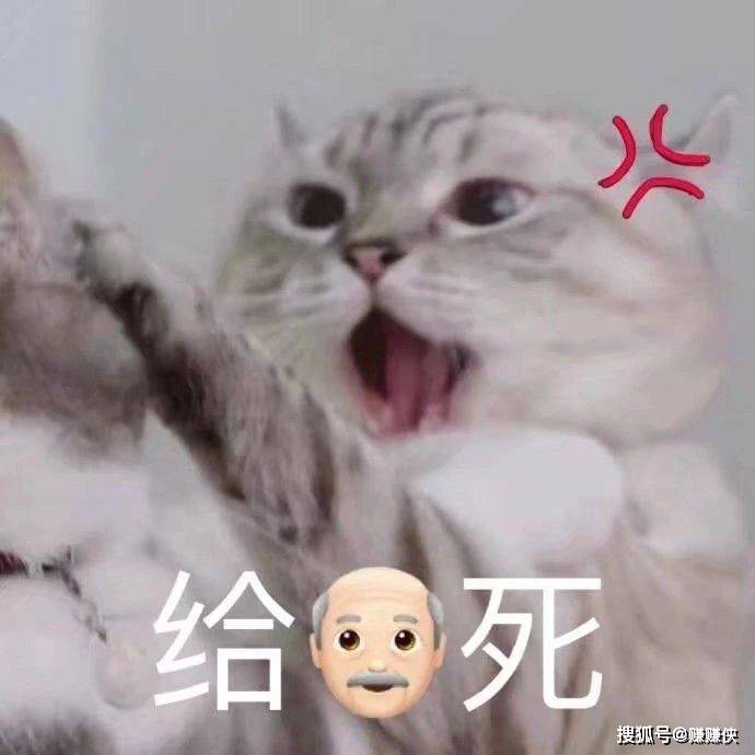 热门表情包图片:气扁了,委屈到变形
