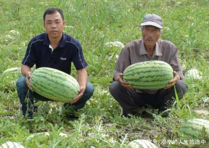 沙漠人口渴_人口渴简笔画