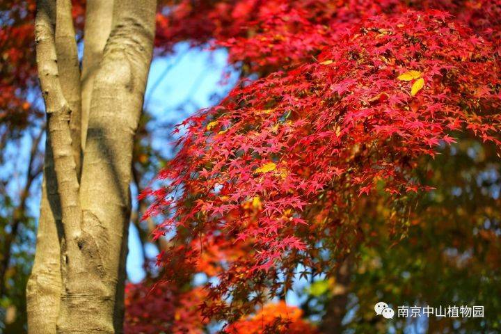 全国成市排名2020_“2020天府金融指数”出炉成都继续领跑中西部城市