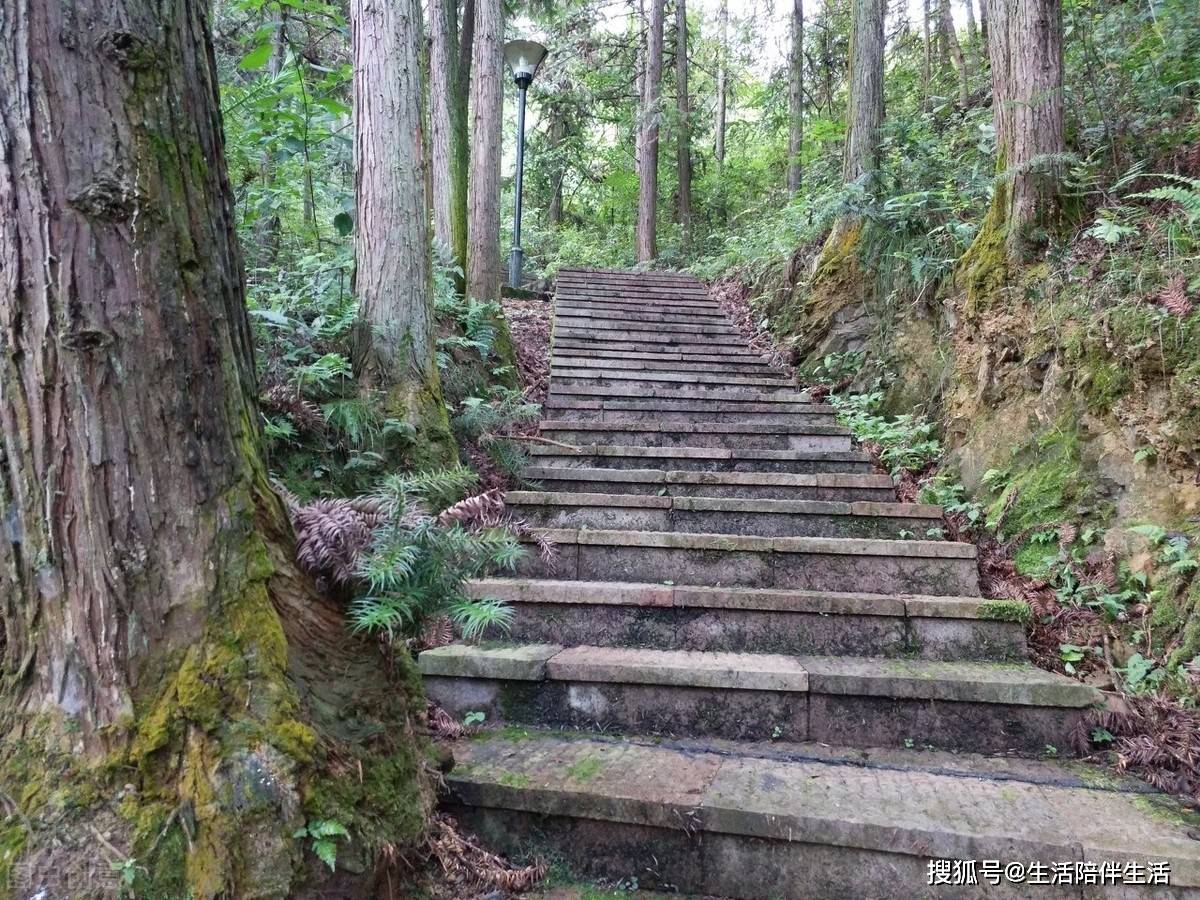 县城简谱_儿歌简谱