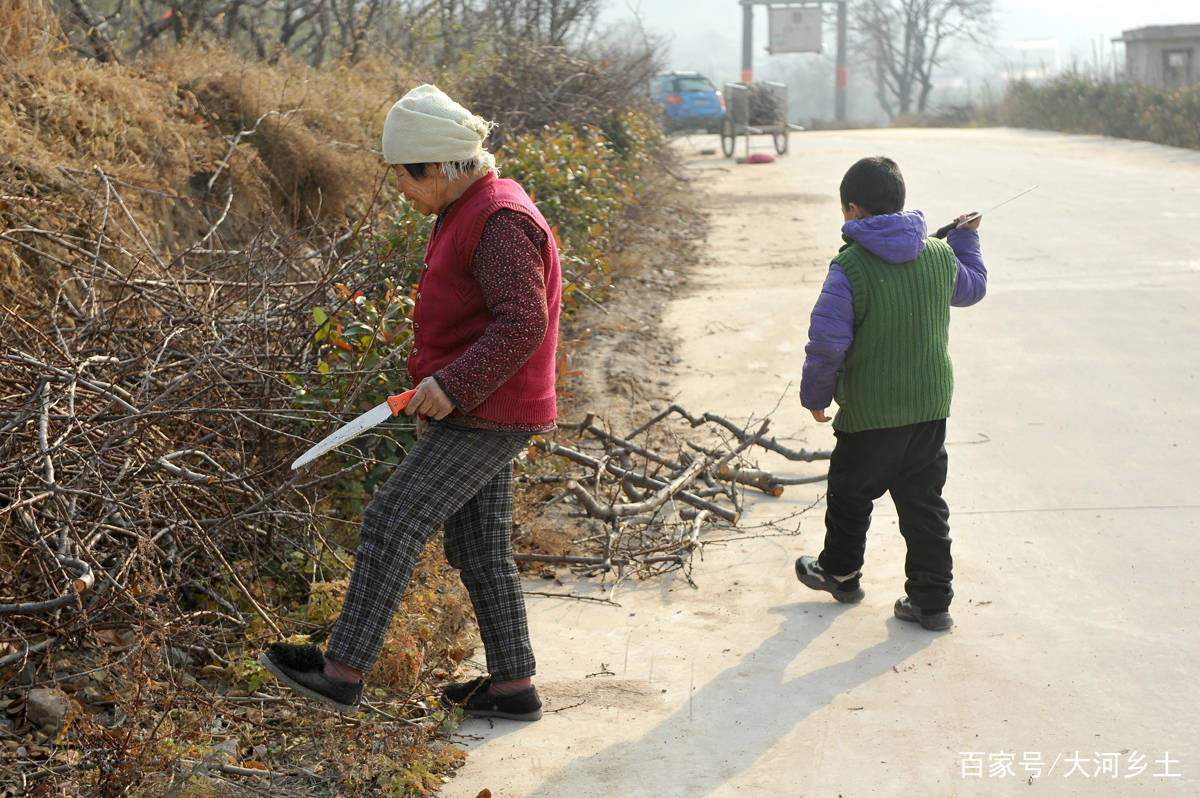 
七旬奶奶做棚车拉孙子上幼儿园 现小孙子上学住校 篷车变柴车-泛亚电竞官网(图2)