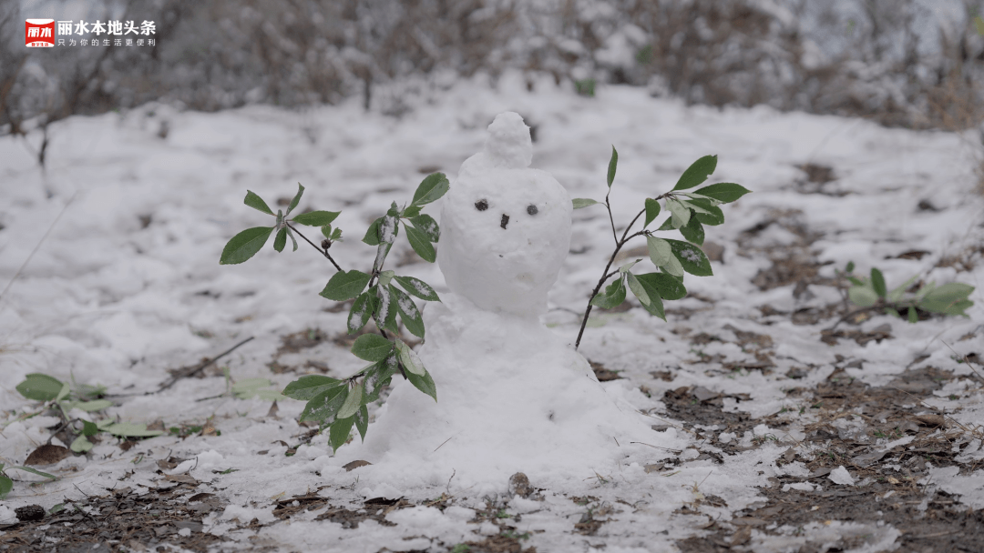 丽水初雪啦!一大波雪景美图来袭,赶快收藏!