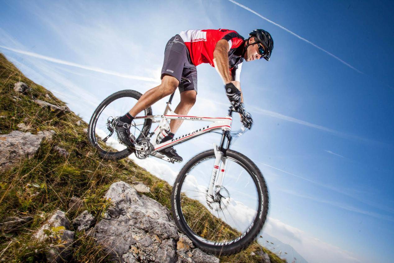 国产女装品牌排行榜_国产洗发水品牌排行榜那些值得信赖的“madeinchina”(2)