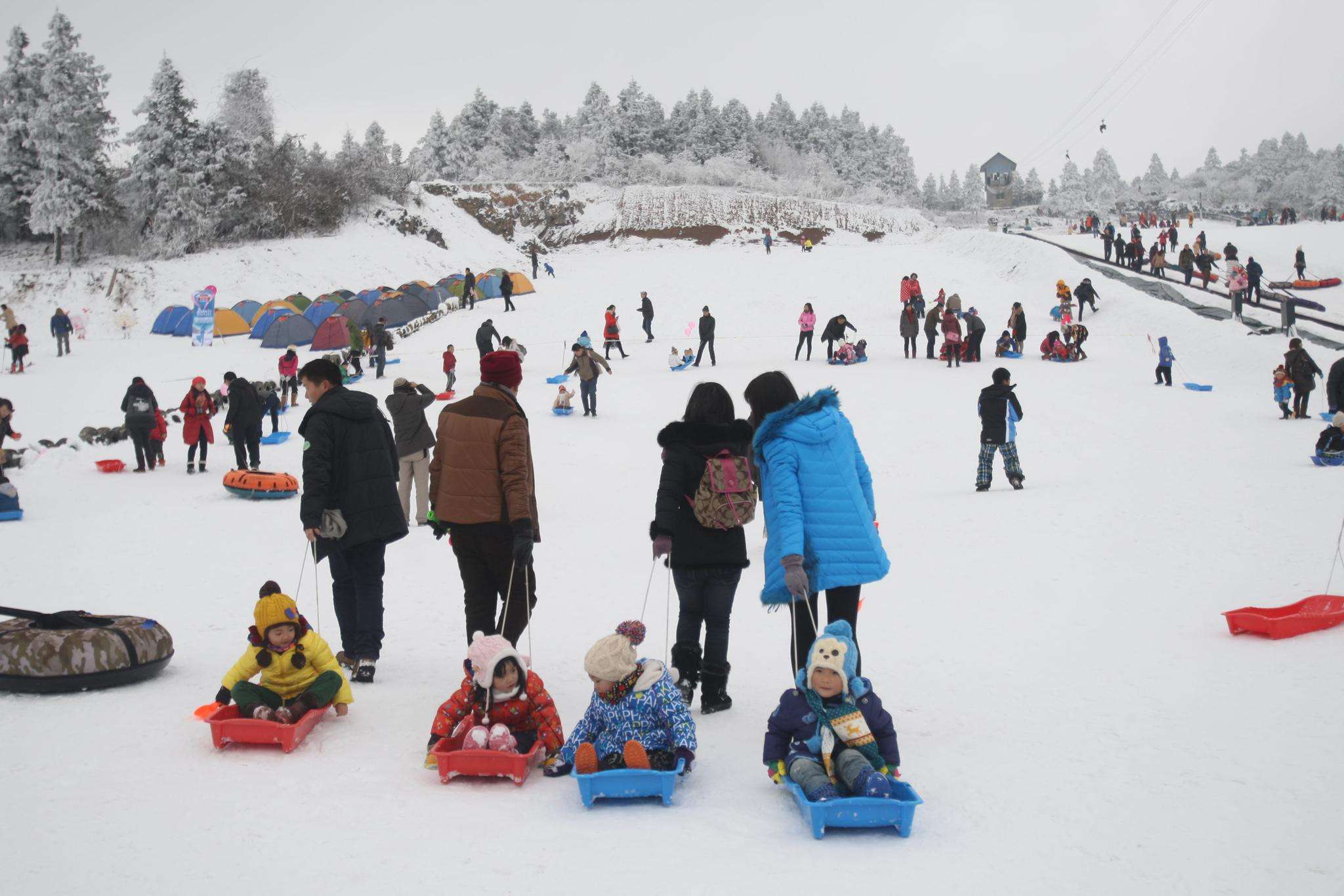 重庆仙女山金佛山玩雪直通车开通了滑雪更便捷直达不中转