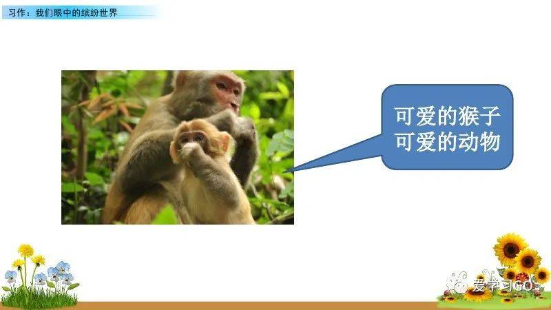 文章配图-5