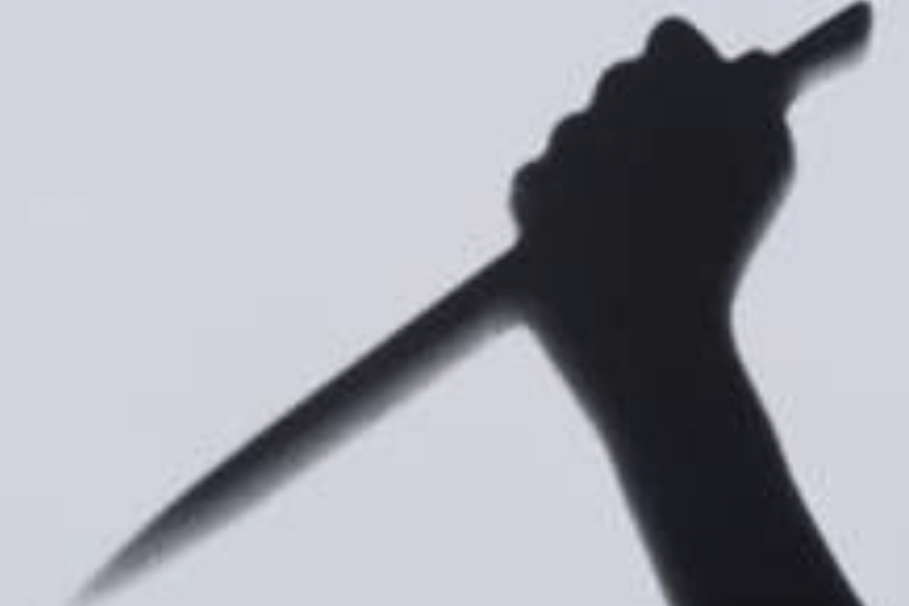 原创你捅我一个试试房东挑衅持刀女租客结果被一刀捅死