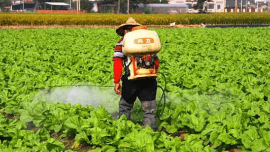 2020食物净化机品牌_高端食品净化机让更多人吃到干净的食物