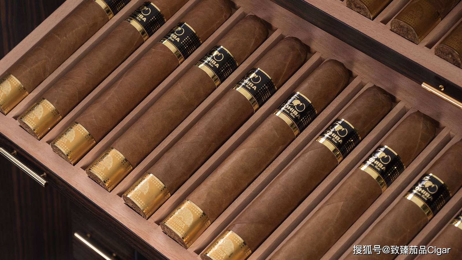 高希霸(cohiba)—古巴最著名的雪茄品牌的15个有趣事实