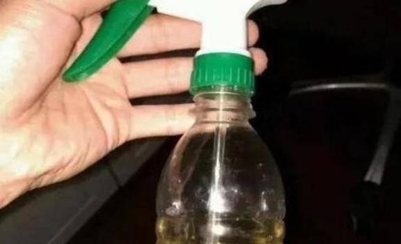 哪些花可以用啤酒浇灌 506ad16afe794ee2812dd9d799ee2348.jpeg
