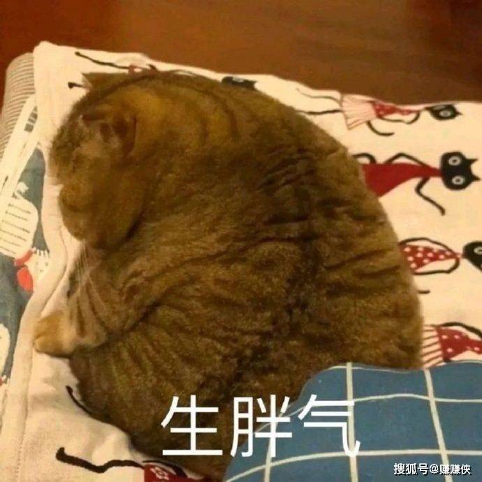 可爱表情包图片:当场愣住