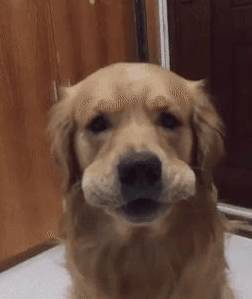 6c0c6581f704495ba90f946eb22f26f1.jpeg