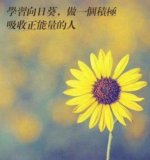 怎么让自己内心变强大不惧怕 84cd1349b96e4b50b2d1698b78d75426.jpeg