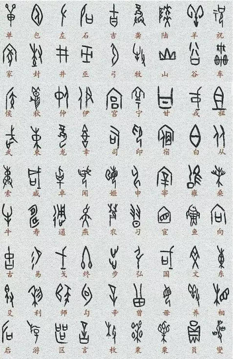 何新:中国书法字体演变之大势