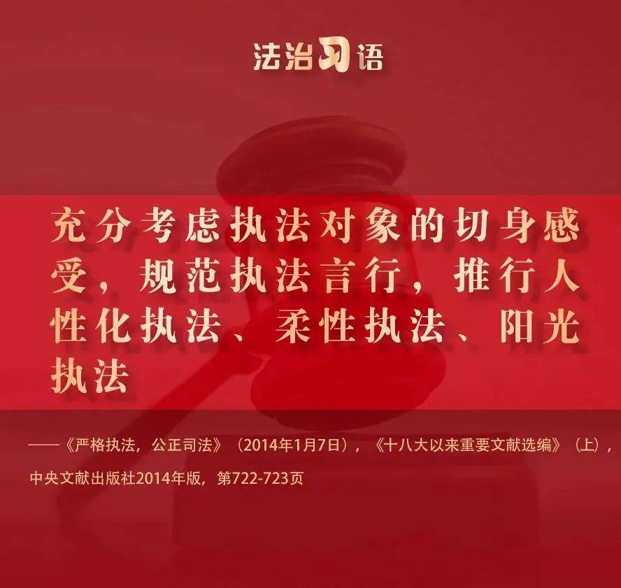 法治习语:执法