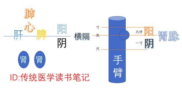 把脉到底是什么原理_幸福是什么图片