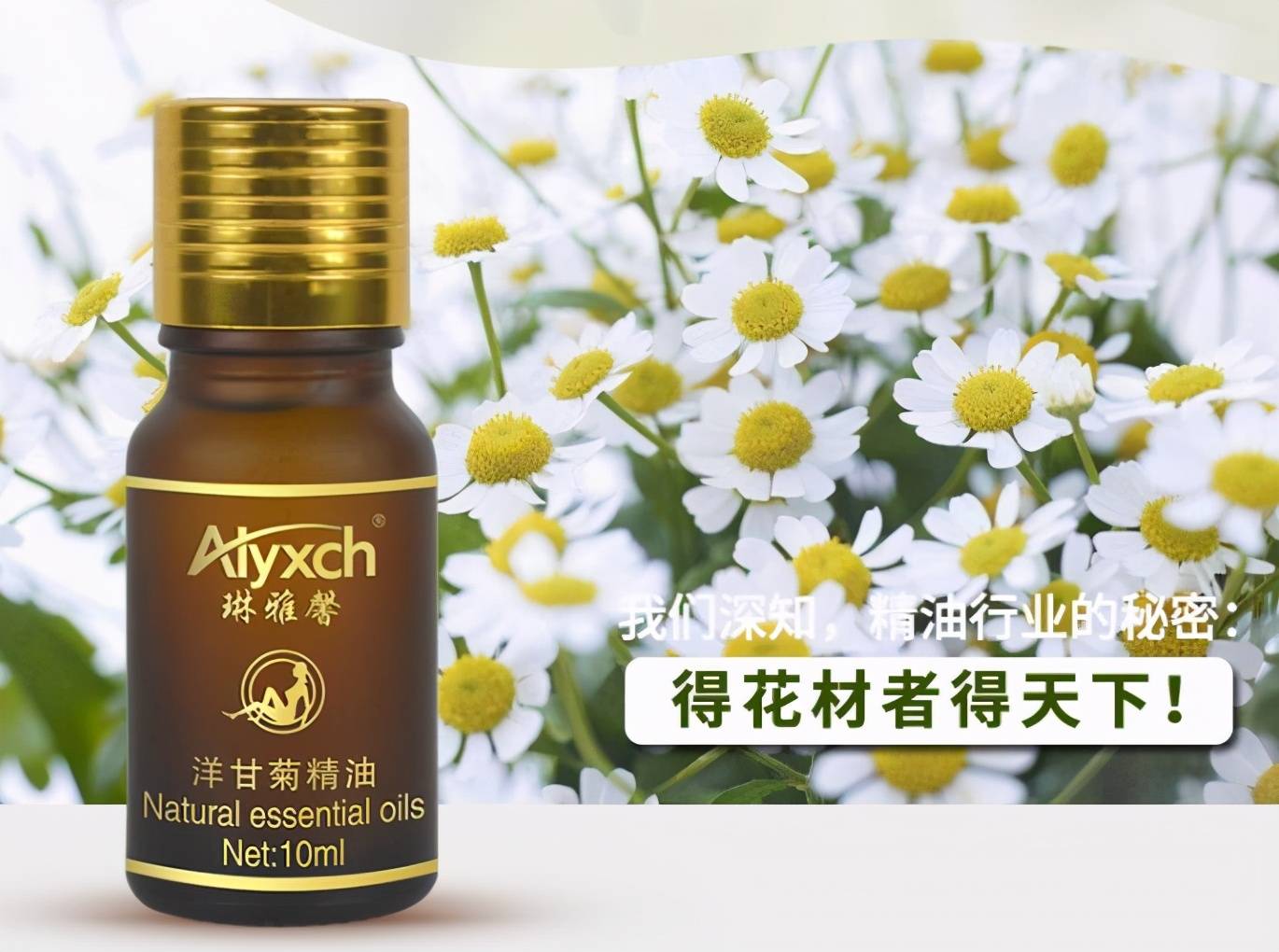 什么是精油其功效和作用是什么 7e5d3ce1be14478fab2fac1078acd485.jpeg