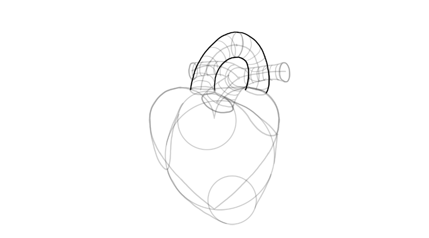 心脏怎么画?教你画出3d写实的心脏画法技巧!