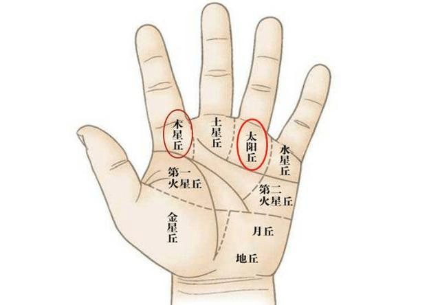 第二,手掌中财库丰隆:在相术中,五指合拢后没有明显的手指间隙,是
