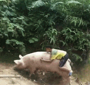 gif搞笑段子:妹子不简单,好好的衣服都能穿出3d效果啊