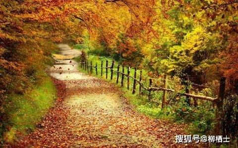 晚秋的诗解读 d720fa85e3dc4fe0867049215bcf3e4f.jpeg