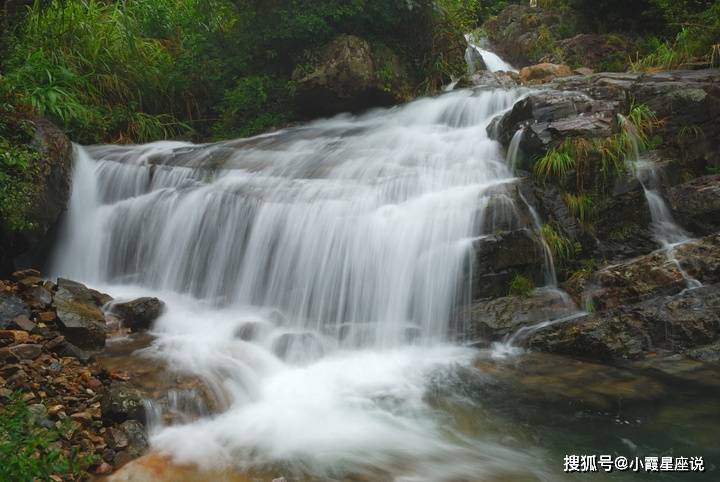 2021年,这3生肖人财俱旺,运势顺利安泰,风光无限好生活!