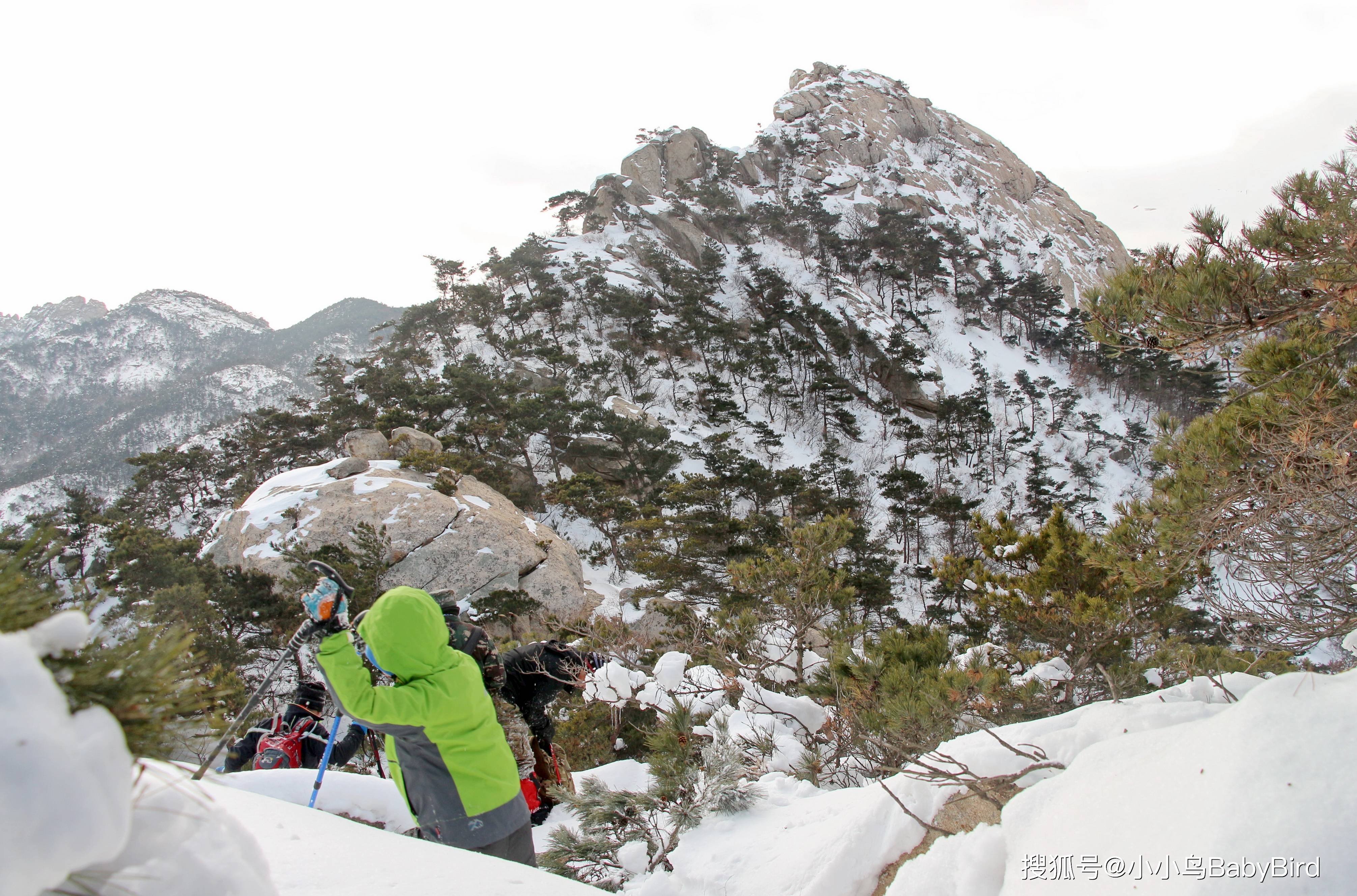 过雪山，寻找那片让人醉的杉树林