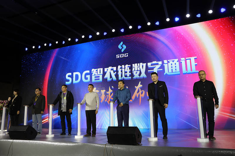数字农商结硕果,SDG智农链引领西部经济发展新航向-三投六币
