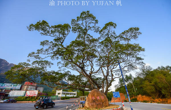 清远市有多少人口_清远市人口分布图(2)
