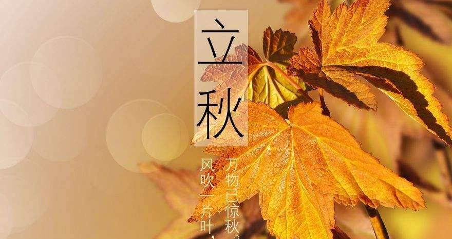 什么时间立秋今年 8031b11d84c64d0488d6ba886650d663.jpeg