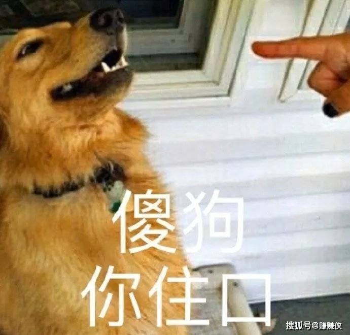 沙雕表情包图片:人家好怕怕,我竟无言以对